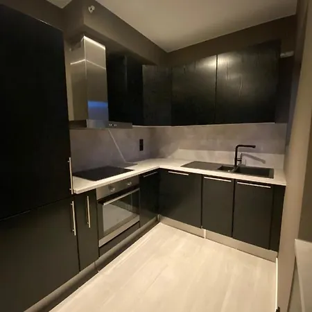 Penthouse With Private Balcony In The City Centre Of Apartment *